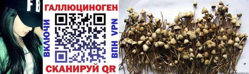 MEGA ONION  Белинский  Галлюциногенные грибы Magic Shrooms  наркотики 